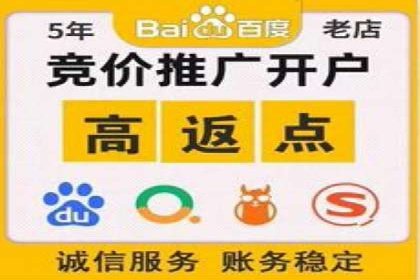 SEM优化策略：案例解读成功之道